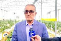 راهاندازی شهرک گلخانهای ۳۰ هکتاری بهمئی در دستور کار است راهاندازی شهرک گلخانهای ۳۰ هکتاری بهمئی در دستور کار است