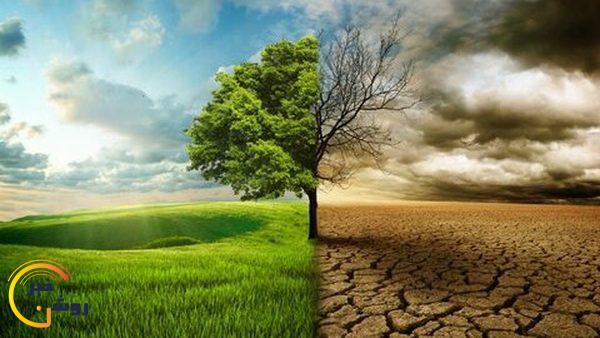 خطر انقراض نسل ۲۳ گونه از گیاهان مرتعی در کهگیلویه و بویراحمد