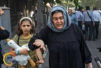 اعلام آمار رسمی شهدا و مجروحین حملات اسرائیل به ایران: بیش از ۴۰۰ نفر شهید و ۳۰۵۶ نفر مجروح اعلام آمار رسمی شهدا و مجروحین حملات اسرائیل به ایران: بیش از ۴۰۰ نفر شهید و ۳۰۵۶ نفر مجروح